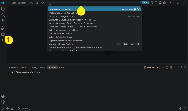 finestra di vscode
